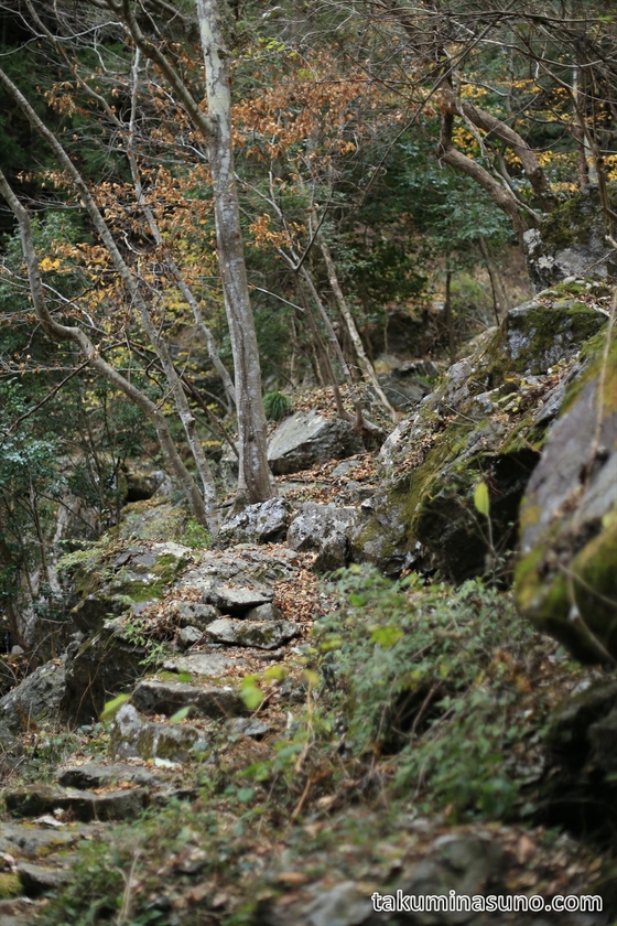 Path to Tengu-taki Waterfall