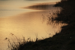 Riverside at dusk