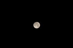 2014年最初の満月