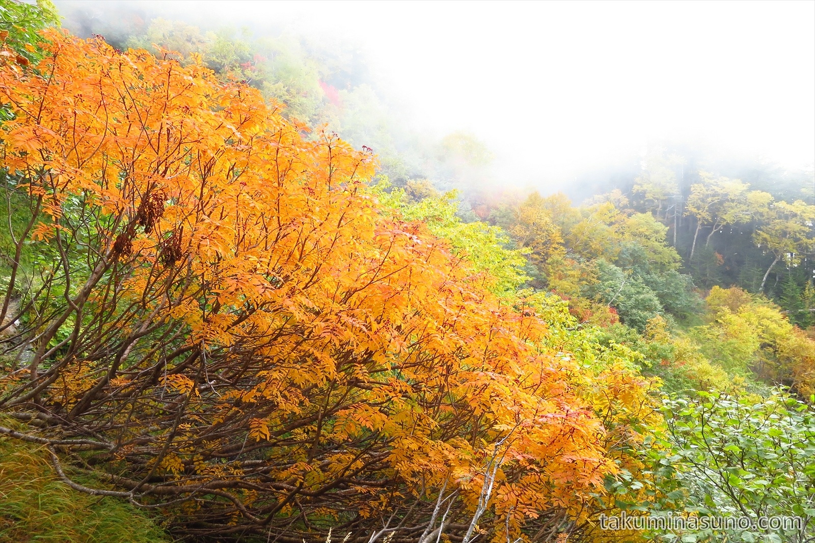 仙丈ケ岳で印象に残った23の風景 紅葉の山と満天の星空 一人十郷 Takuminasuno Com