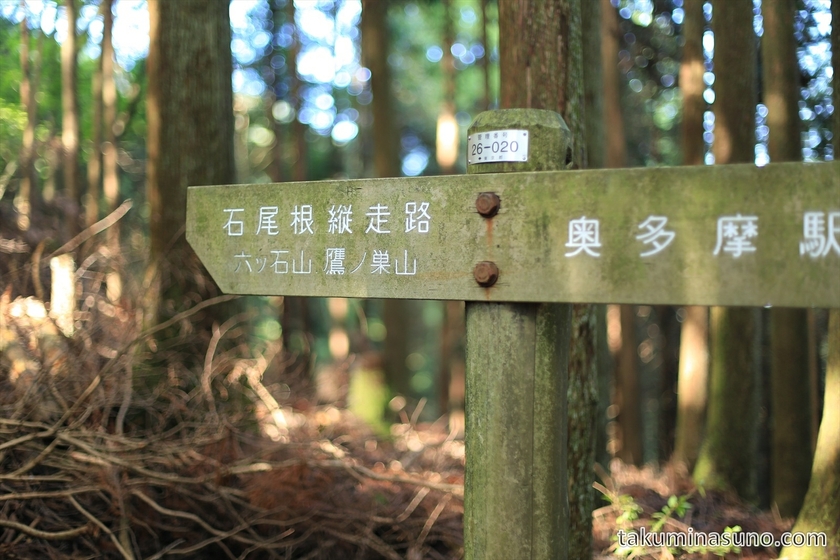 Trekking Course to Mt Mutsuishi at Okutama 06