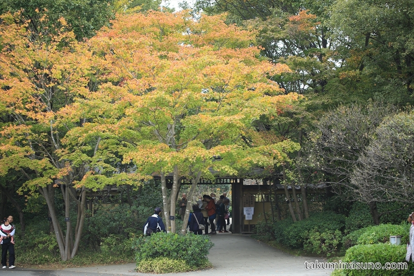 Entrance of Japanese Garden at Showa Memorial Park