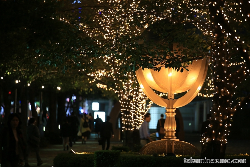 Illumination at the west of Shinjuku