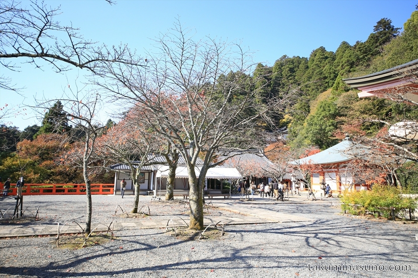 Inside Kurama Temple