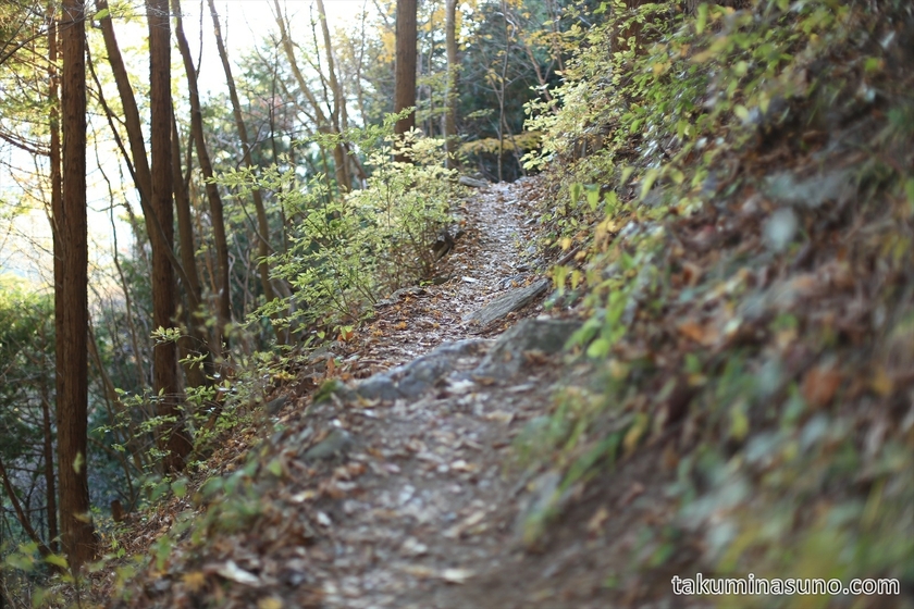 Mountain Trail to Hyakuhiro-no-taki Waterfall
