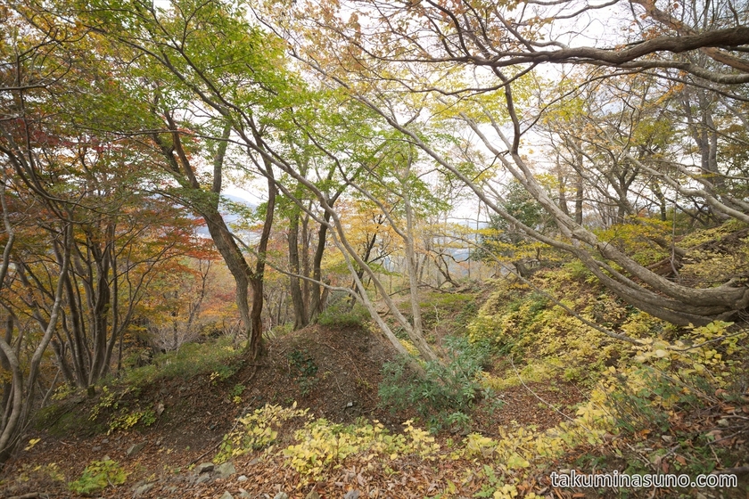 Takashima Trail Full of Yellow