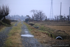 Niigata Seems to Enter into Cloudy, Rainy and Snowy Days