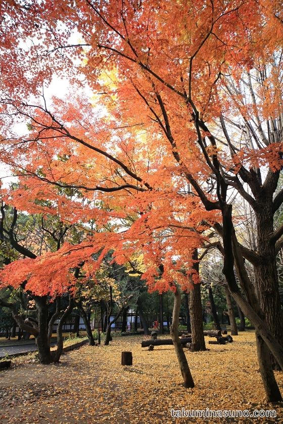 Colorful Garden of Sojiji Temple