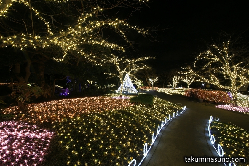 Illuminations of Enoshima Island