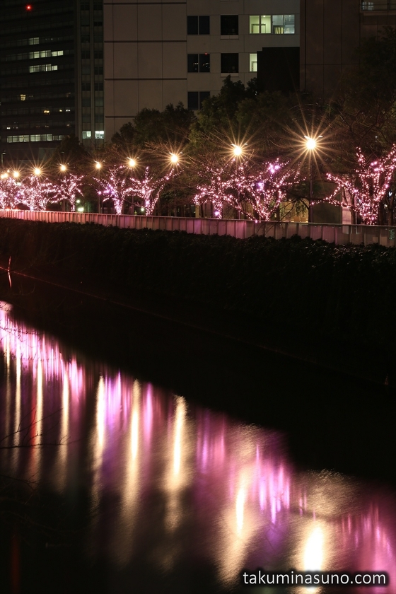 Meguro River Illumination for Everyone 2014