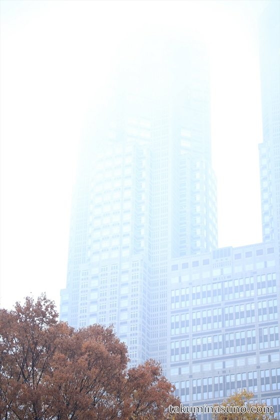 Misty Tokyo Metropolitan Tower