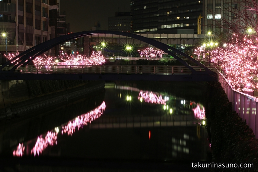 Riverside of Meguro River Illumination for Everyone 2014