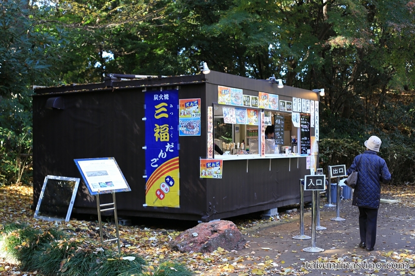 Temporary Tea Shop at Rikugien Gardens
