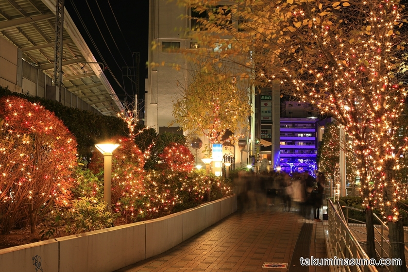 Warm Illuminations Next To Naka-Meguro Station