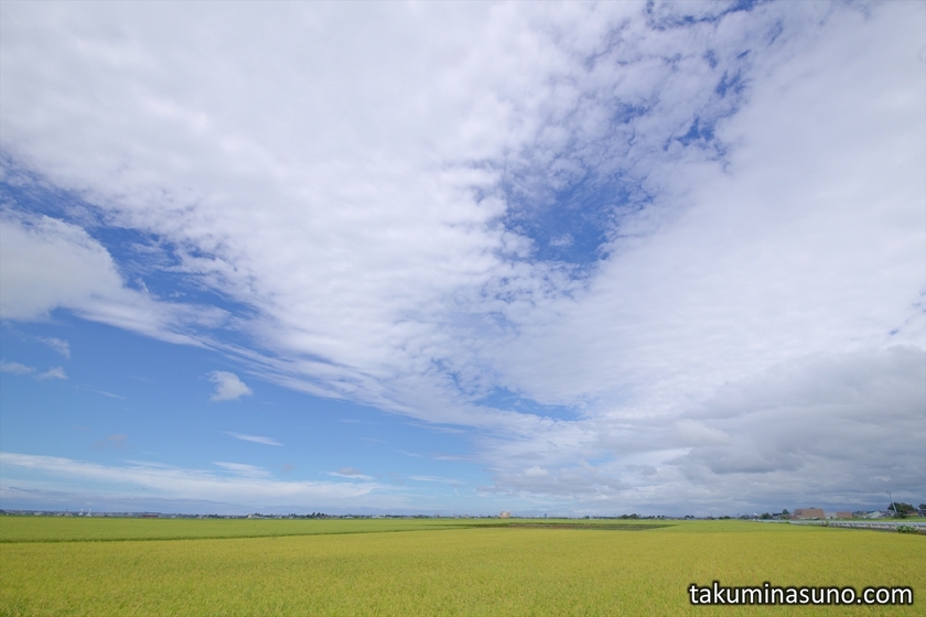 Paddy Fields and Sky of Niigata