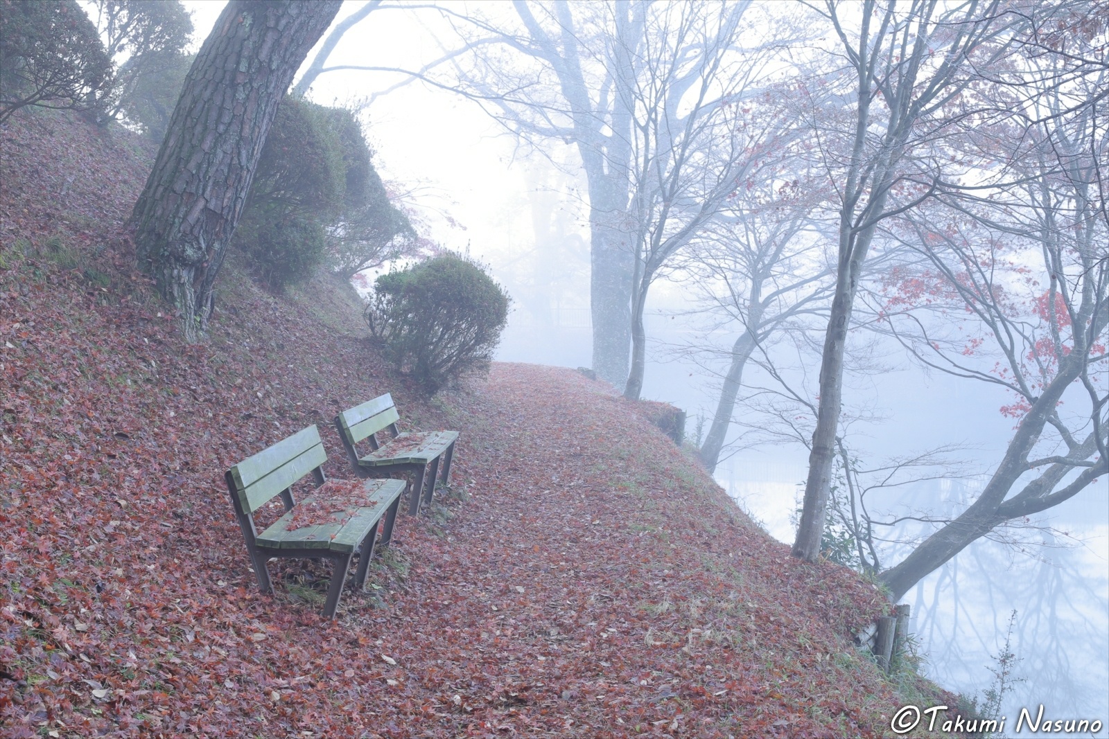 Benches at the Site of Tanagura Casltle in the Mist