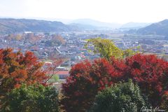 Photography tells Seasonal Changes at Akadate Park of Tanagura Town - Ver0.1