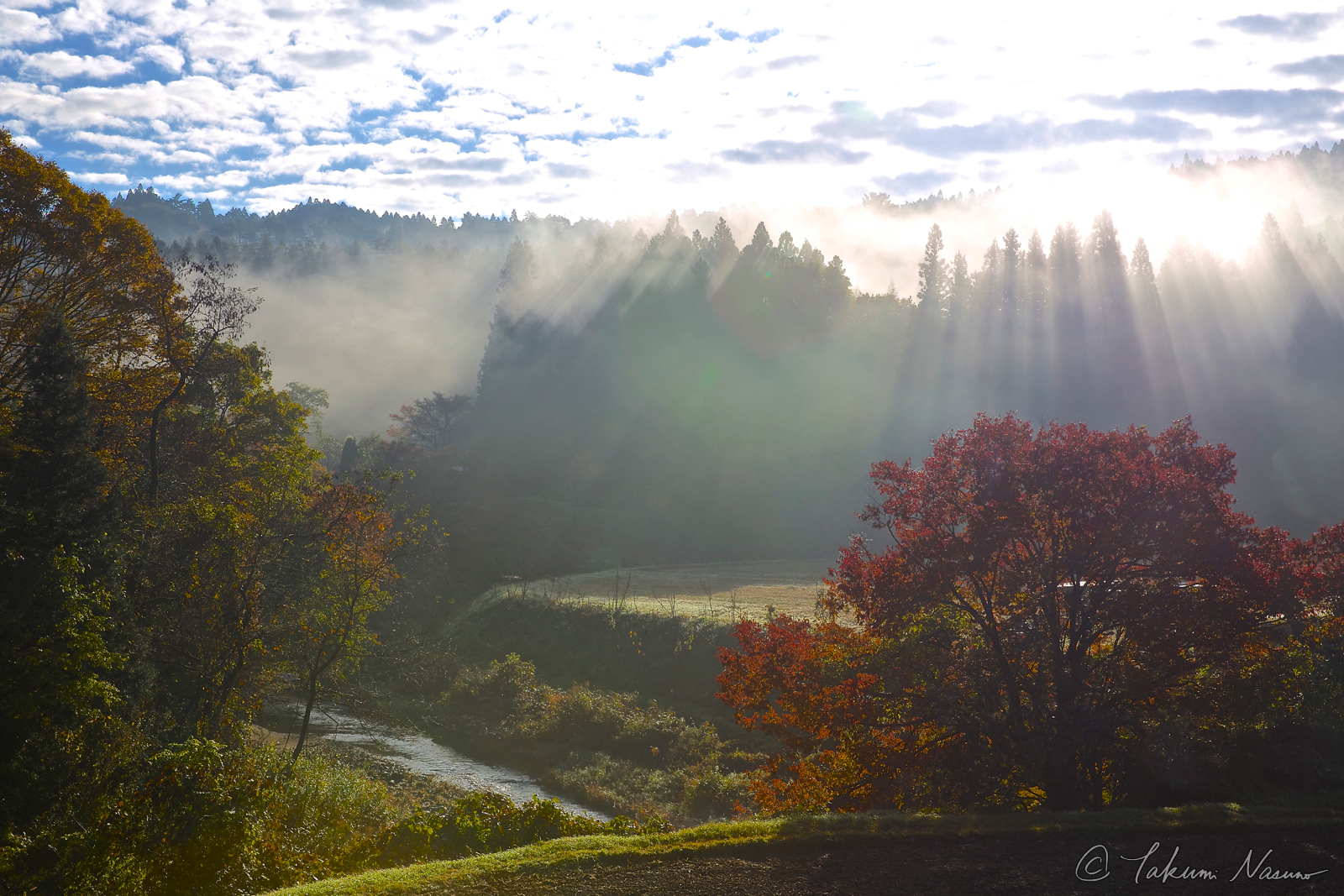 Tanagura Photo Contenst - Morning mist and Fierce Sunshine