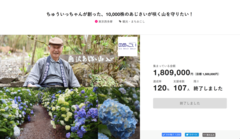 Crowdfunding of Minamizawa Hydrangea Mountain ended with the Achievement Rate of 120%, welcoming Hydrangea season this Year!